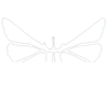 SentX - The Sentient NFT Exchange - Marketplace and Launchpad on the Hedera Hashgraph Network