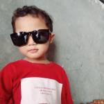 Warnoto Warnoto Profile Picture
