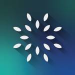 Ivy Live profile picture
