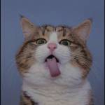 Tri Pratama Profile Picture