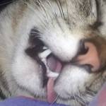 Boy Imee Profile Picture