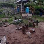 Ahmad nur Cholis Profile Picture