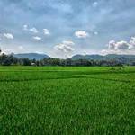 Trisna Bayu Profile Picture