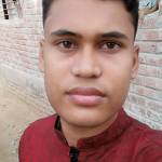 MD ALIM ALI Profile Picture