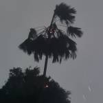 ardan Fthllh Profile Picture