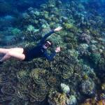 romi romansyah Profile Picture