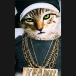 guntur prabowo Profile Picture