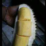 Rudy rahman Prasetya Profile Picture