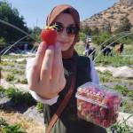 Hilal Kaynarca Sahin Profile Picture