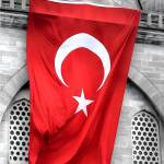 Mert Eyşi Profile Picture