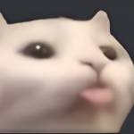 3127cat Profile Picture